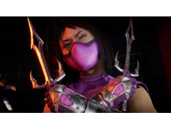 Игра Mortal Kombat 11: Ultimate (PS4)