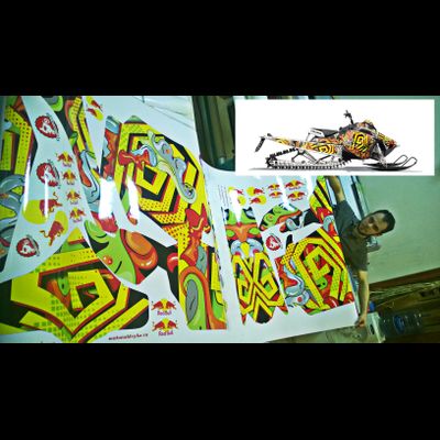 Наклейки на снегоход Polaris PRO RMK 2011-2015 #230