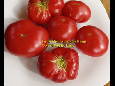Томат Таинственная леди Dwarf Mystic Lady, Мистическая леди)