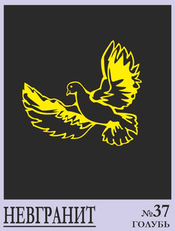 Голубь 37