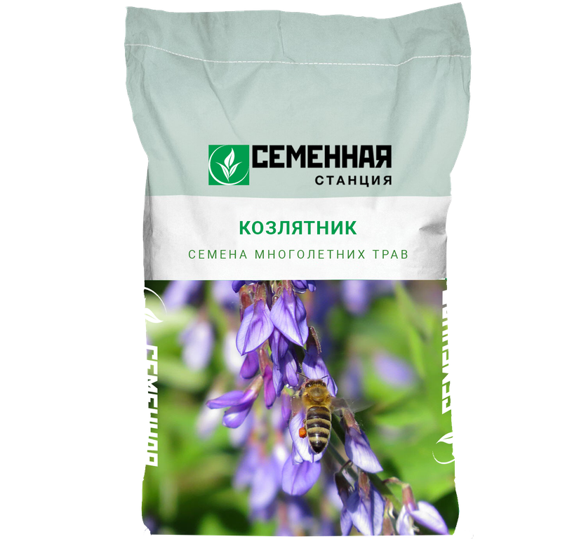 Семена козлятника, 30кг