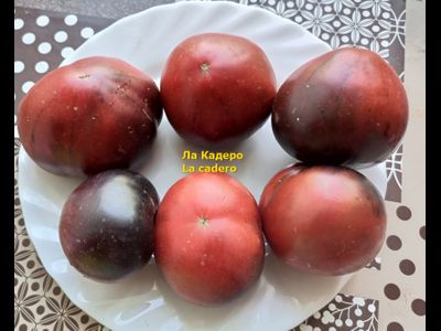 Томат Ла Кадеро (La Cadero)