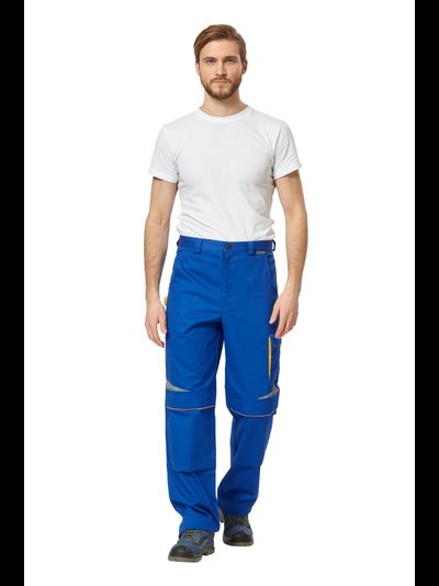 bryuki-alatau-vasilek-zheltyy-bryu333