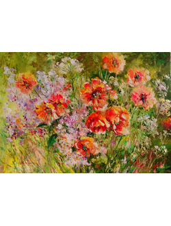 Маки в саду