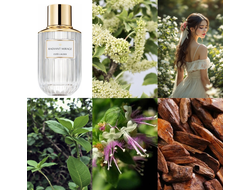 Estee Lauder Radiant Mirage