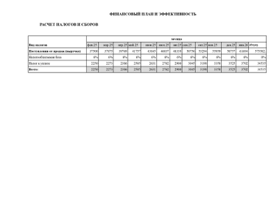Уникальный расчет финансового план для вашего бизнес-плана под социальный контракт