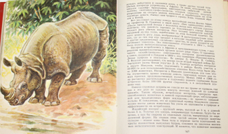 Сосновский И.П. О редких животных мира. М.: Просвещение 1987г.