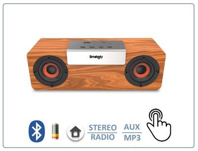 SMALODY SL-50S Bluetooth колонка СТЕРЕО, радио FM, с аккумулятором для использования в помещении