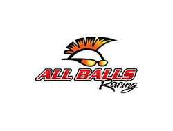 Сальник Allballs 30-3801