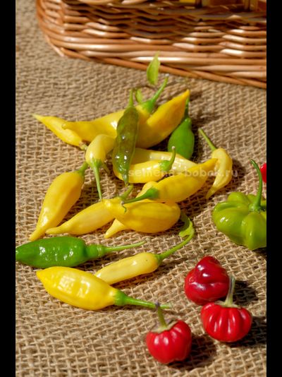 Перец острый Aji Lemon Drop (Ахи Лемон Дроп), 10 шт