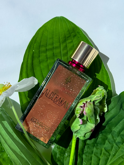 M.A.Barrois Aldebaran