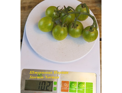 Томат Штурмовик Норман черри (Stormin Norman)