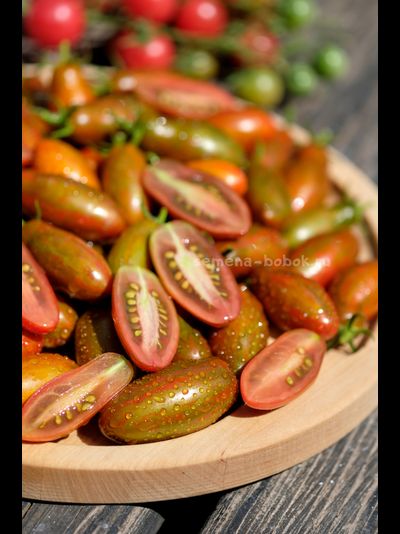 Томат Оливетта полосатая (Olivette Striée), 10 шт