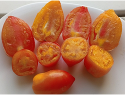 Томат Гном Затонувший персик (Dwarf Sunkissed Peach), США, Австралия