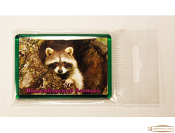 Акриловые Магниты Зоопарк