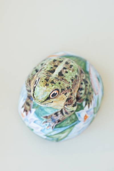 Лягушка на камушке