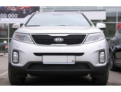 Сетка на бампер внешняя для KIA Sorento 2012->, 2 шт., черн., 15 мм ( 01-300212-15B )