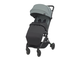 Коляска прогулочная Espiro Pop 2025 10 Black Lucerice