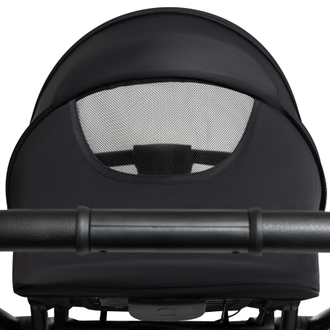 Коляска 2в1 Agex Life Black (Черный)