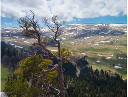 За гранью обыденного. Глэмпинг "Горный". 8 дней. Лето 2025