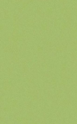 Керамогранит CASALGRANDE PADANA 3796412 ARCHITECTURE ACID GREEN GLOSS 30x60 см