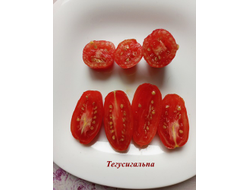 Томат Тегусигальпа (Tegucigalpa)