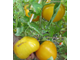 Томат Гигант лимонный