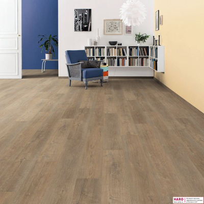 Декор ламината Haro  Дуб Ливорно Дымчатый 538650 в интерьере комнаты