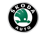 Ковры в салон SKODA