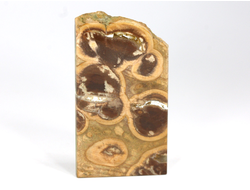 Риолит, яшма, срез полированный, Россия (61*34*5 мм, 25 г) №29776