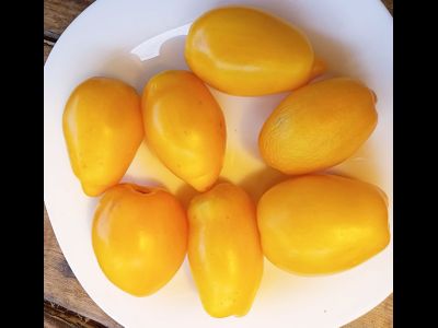 Томат гном Банановые пальчики (Banana Toes Tomato)