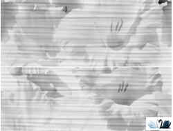 Панно керамическое Gracia Ceramica Celia white panno 50 х 60 см с цветами купить в магазине Marysя