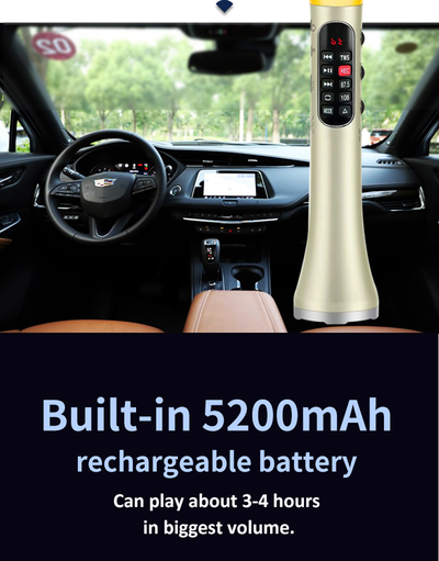 Профессиональный   караоке-микрофон  L-1098DSP  30w