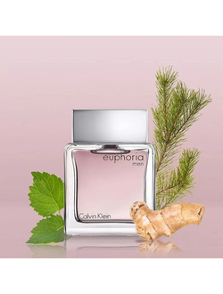 Calvin Klein Euphoria Men
