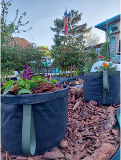 Кашпо 4 литра напольное. Умный тканевый горшок Гроубэг