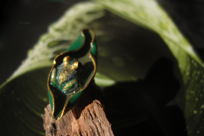 "После дождя", необычное кольцо с тропической лягушкой