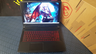 MSI GF66 11UG-079XRU ( 15.6 IPS 144Hz I7-11800H RTX3070 (8Gb) 16Gb 1000SSD )