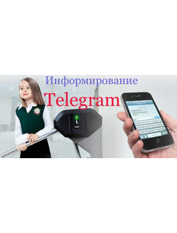 Информирование Telegram МБОУ "СШ имени Д.И. Коротчаева" (один месяц)