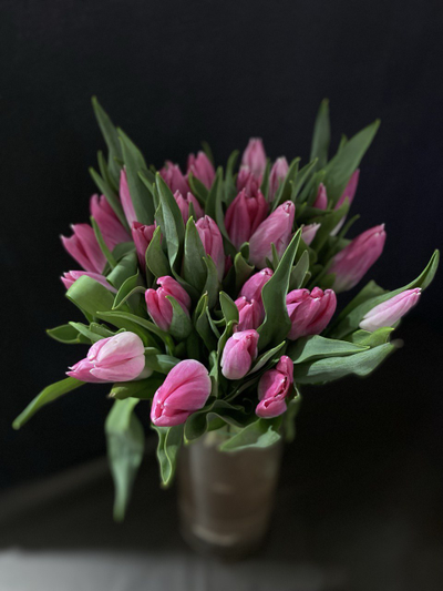 Тюльпаны 35 шт