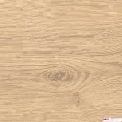 Декор ламината Haro Tritty 100 Дуб Портлэнд Пуро 533122 структура