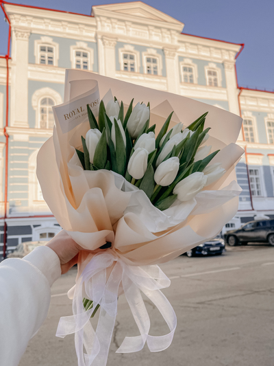 Белые тюльпаны MOONLIGHT 15 шт