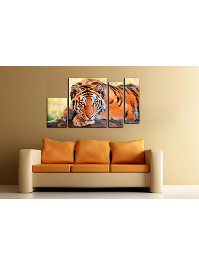 Модульная картина "Отдых тигра"