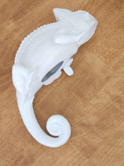 Хамелеон (интерьерный)