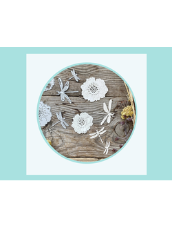 Флора и фауна