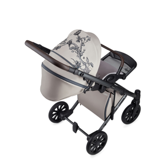 Коляска 2в1 Anex e/type Eden