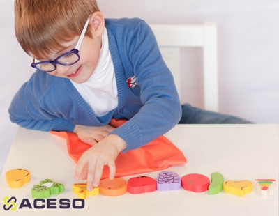 Свойства предметов. Набор для сенсорного развития детей