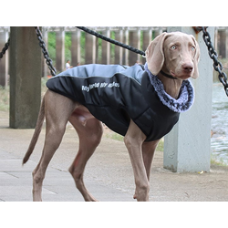 Куртка для собак My World My Rules