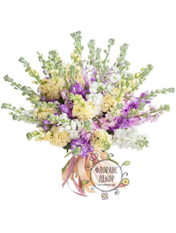 Букет маттиол