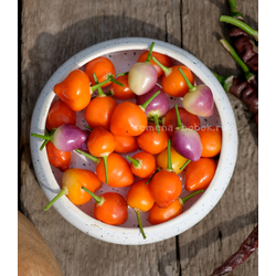 Перец острый Piriz, 10 шт