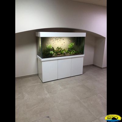 Аквариумный прямоугольный комплекс 660 (Тип тумбы 8)